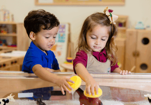 summer camp activities